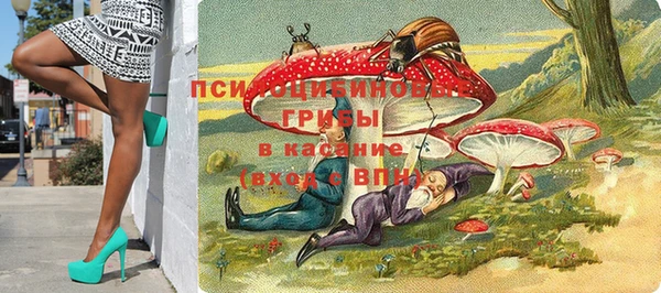 трава Верея